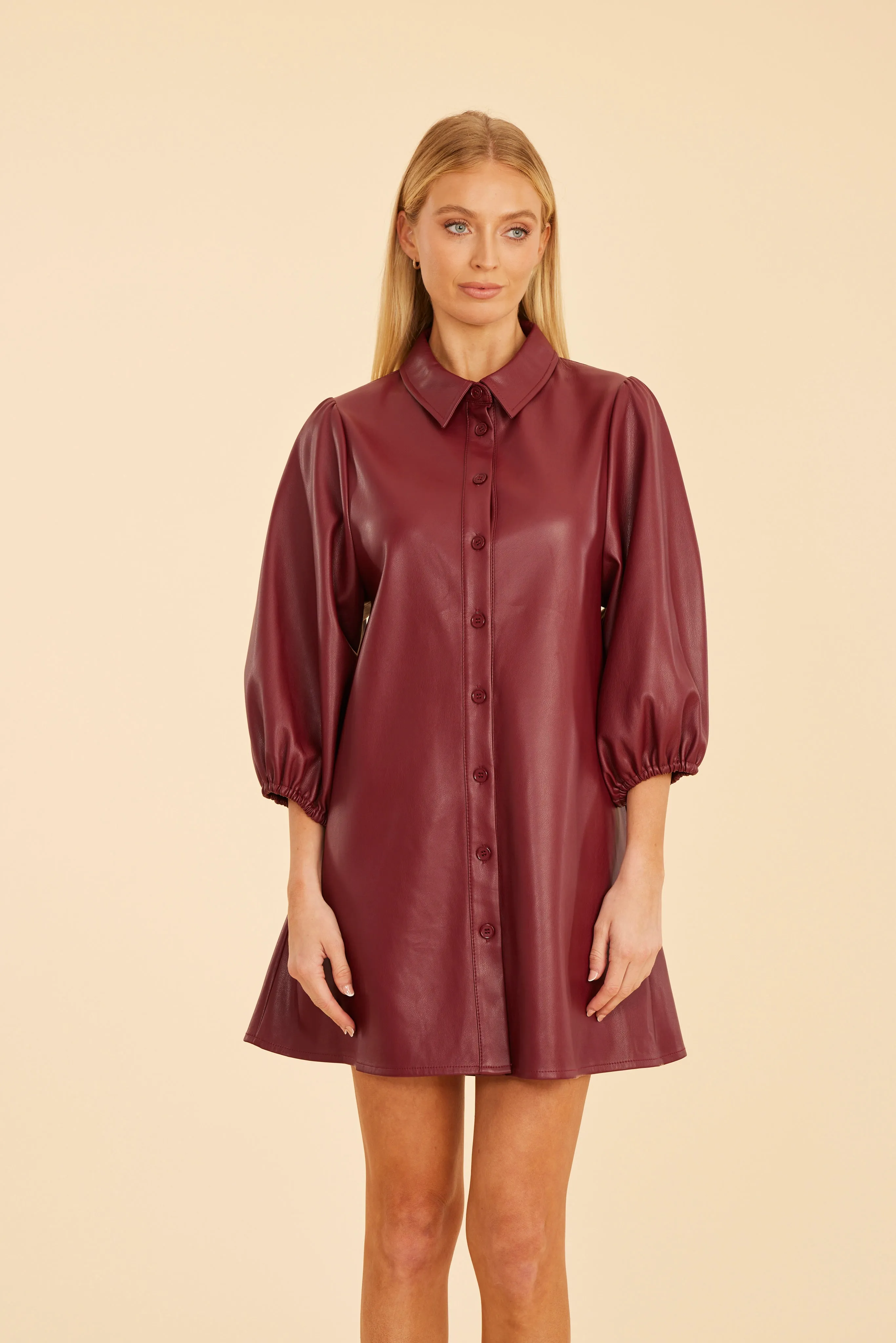 Faux Leather Puff Sleeve Dress